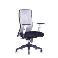 Kancelářská židle Calypso XL BP 12A11/1111 (šedá/černá)