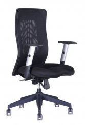 Kancelářská židle Calypso Grand BP 1111/1111 (černá/černá)