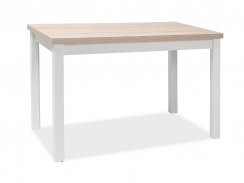 Jídelní stůl ADAM (dub sonoma/matně bílá, 100x75x60)