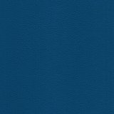 01012-M68746: koženka Magic M68746 (modrá)