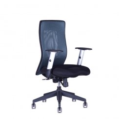Kancelářská židle Calypso XL BP 1211/1111 (antracit/černá)