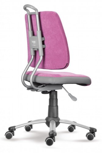Dětská rostoucí židle ACTIKID A3 2428 59 (růžová/šedá síť)