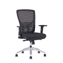 Kancelářská židle Halia Mesh BP (černá)