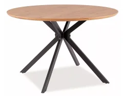 Jídelní stůl ASTER (dub/černá, 120x76)