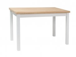 Jídelní stůl ADAM (dub wotan/matně bílá, 100x75x60) - VÝPRODEJ SKLADU