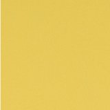 01020-KOZENKA036: koženka 036 (žlutá)