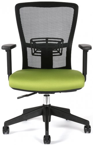 Kancelářská židle Themis BP TD20 (zeleno-černá)