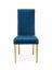 Jídelní židle DIEGO 3 (modrá)