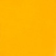 03512-KOSTR-ZLUT: kostra žlutá