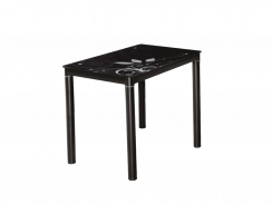 Jídelní stůl DAMAR (černá, 80x75x60)