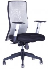 Kancelářská židle Calypso Grand BP 12A11/1111 (šedá/černá)