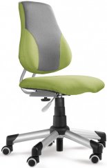 Rostoucí židle ACTIKID A2- 2428 43 (zelená/šedá)