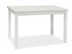 Jídelní stůl ADAM (matně bílá, 100x75x60)