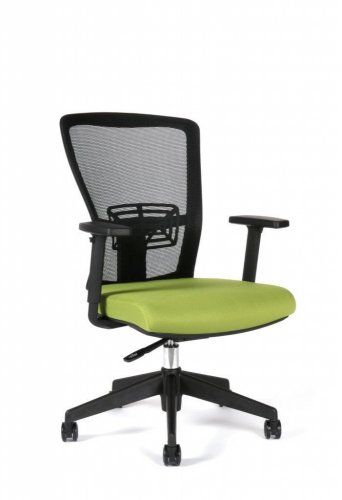 Kancelářská židle Themis BP TD11 (modro-černá)