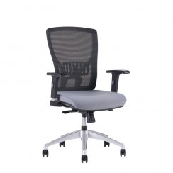 Kancelářská židle Halia Mesh BP (šedo-černá)