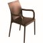 Designová židle ESET, s područkami