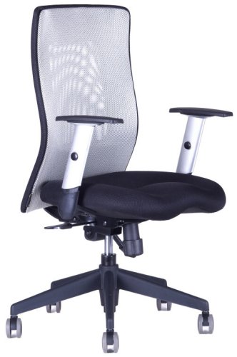 Kancelářská židle Calypso XL BP 14A11/1111 (modrá/černá)