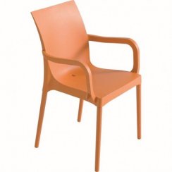 Designová židle ESET, s područkami