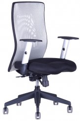 Kancelářská židle Calypso XL BP 12A11/1111 (šedá/černá)
