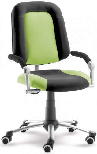 Dětská rostoucí židle Freaky Sport 2430 08 (Aqua-antracitová/zelená)