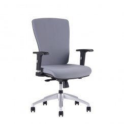 Kancelářská židle Halia BP (šedá)